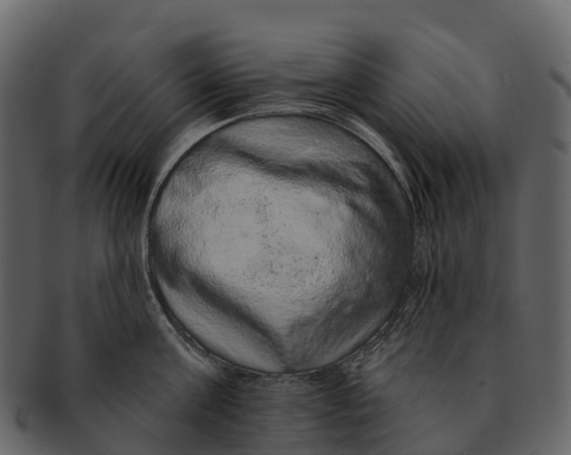 X0000092320811200710051255