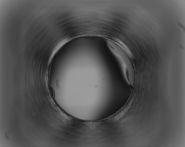 X0000092320812200710051255
