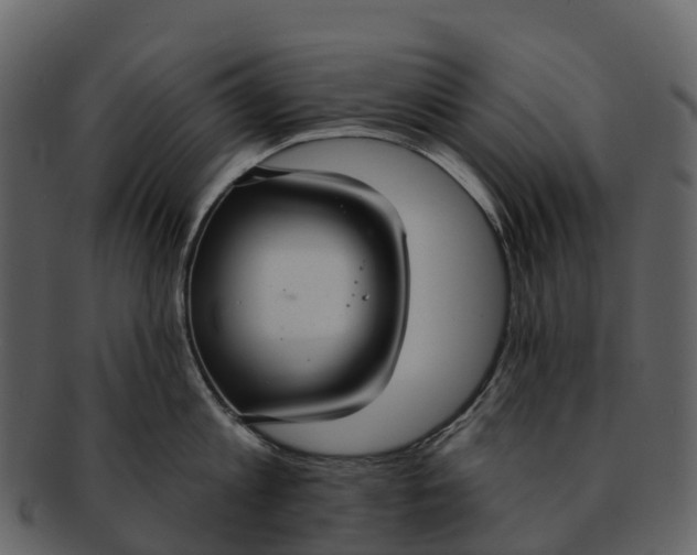 X0000092320813200710051255