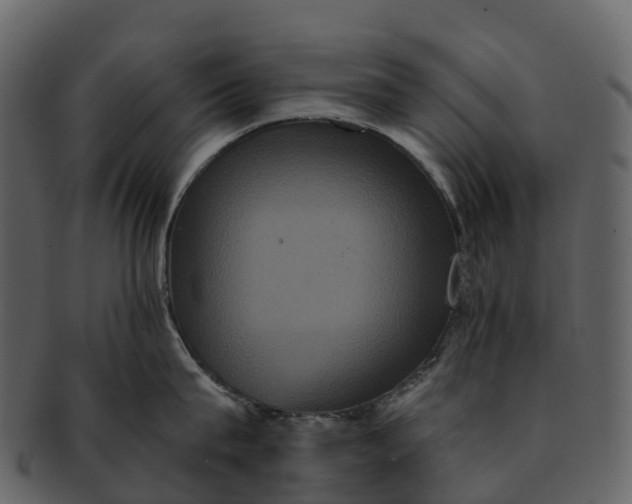 X0000092320815200710051255