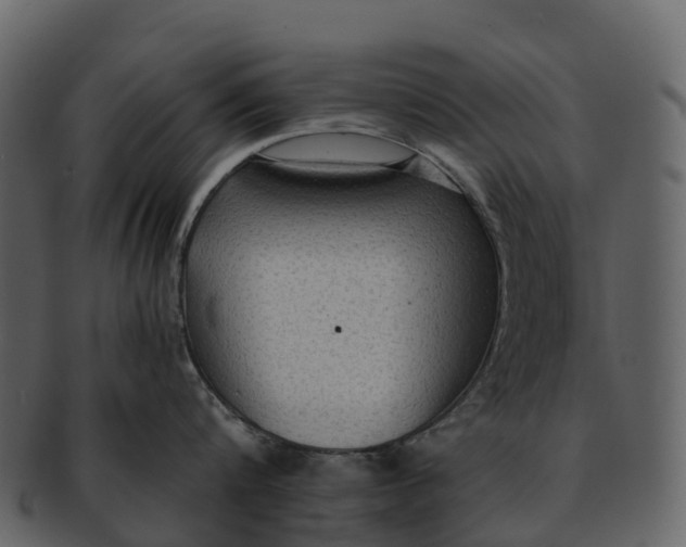 X0000092320816200710051255