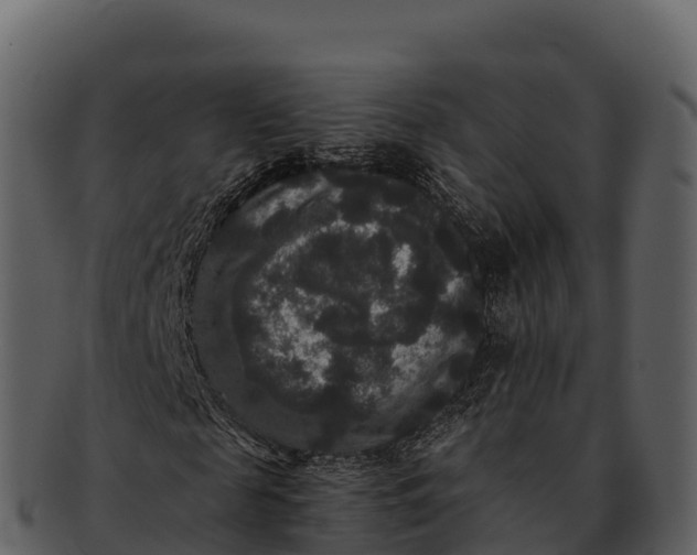 X0000092320817200710051255