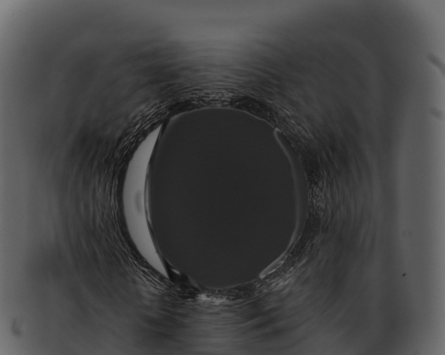 X0000092320818200710051255