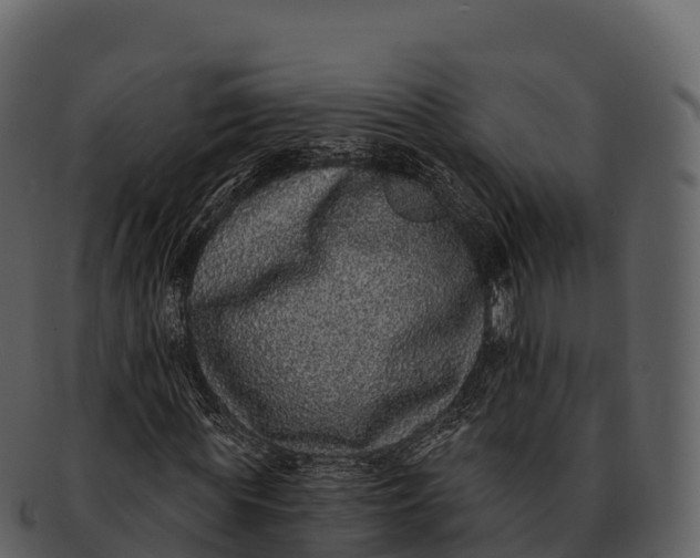 X0000092320819200710051255