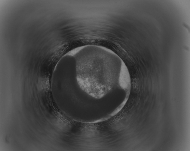 X0000092320820200710051255