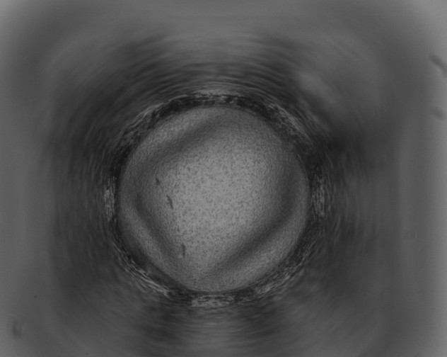 X0000092320821200710051255