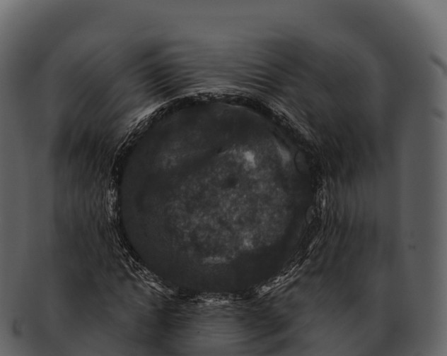 X0000092320822200710051255