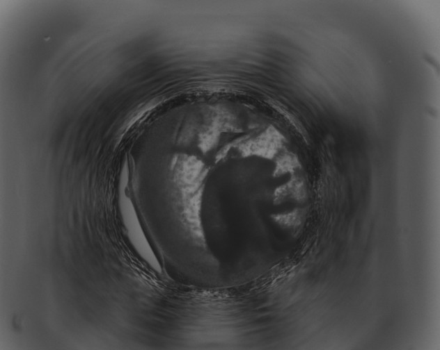 X0000092320823200710051255