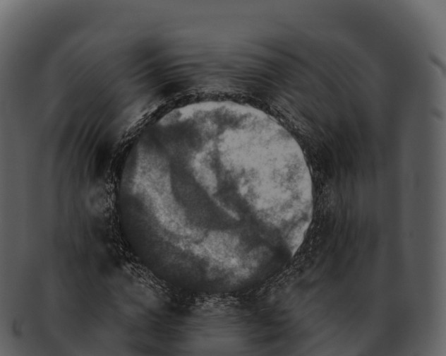 X0000092320824200710051255