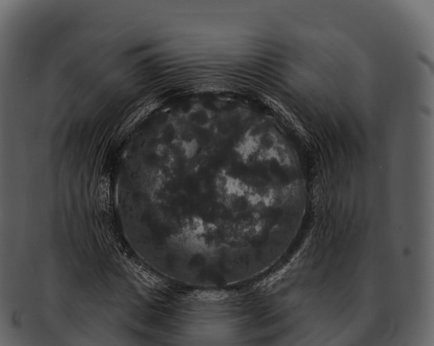 X0000092320825200710051255