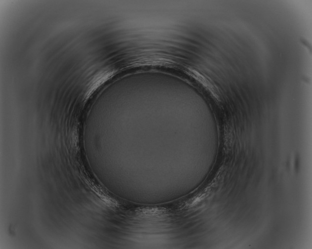 X0000092320826200710051255