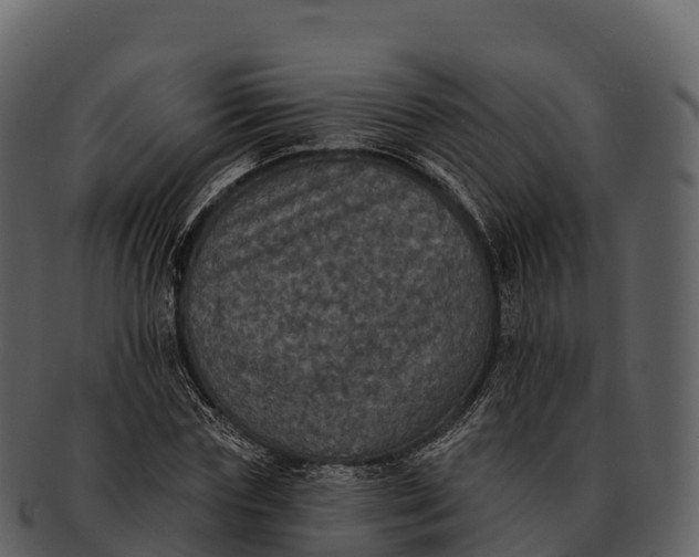 X0000092320827200710051255