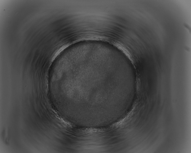 X0000092320829200710051255