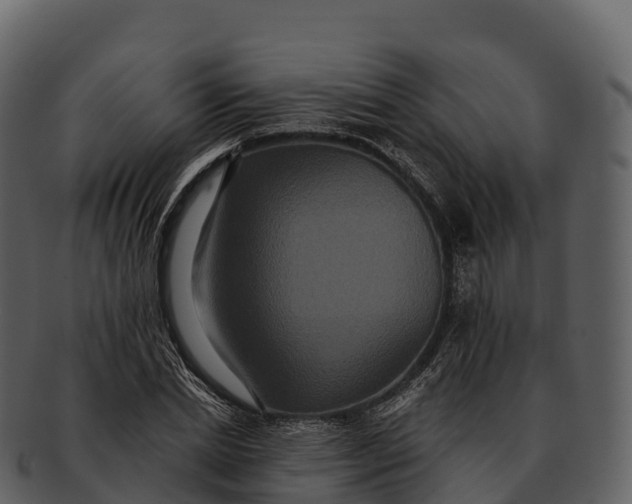 X0000092320830200710051255