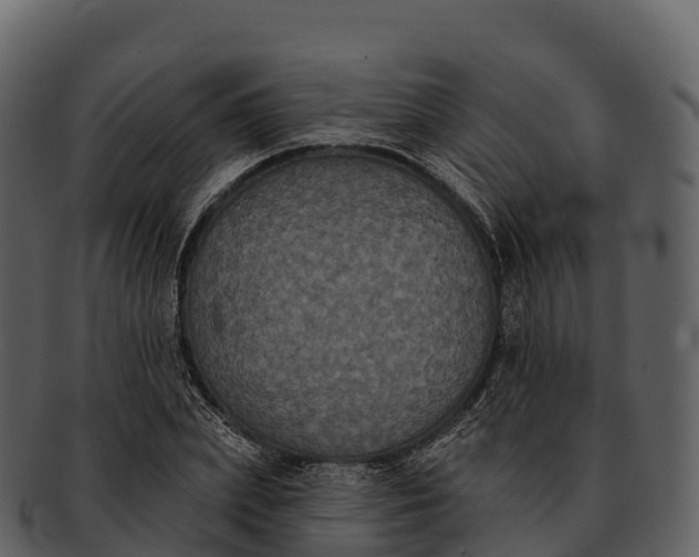 X0000092320831200710051255