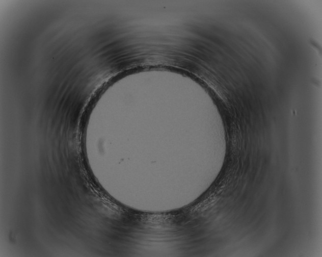 X0000092320832200710051255