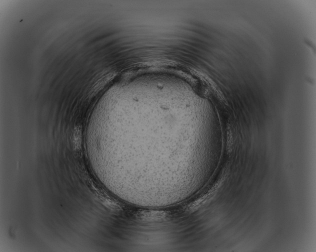 X0000092320833200710051255