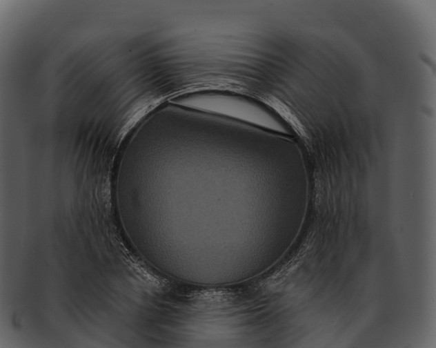 X0000092320834200710051255