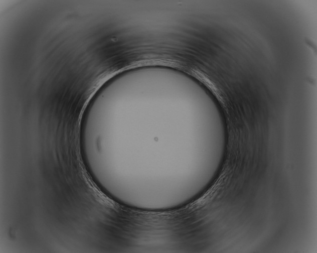 X0000092320836200710051255