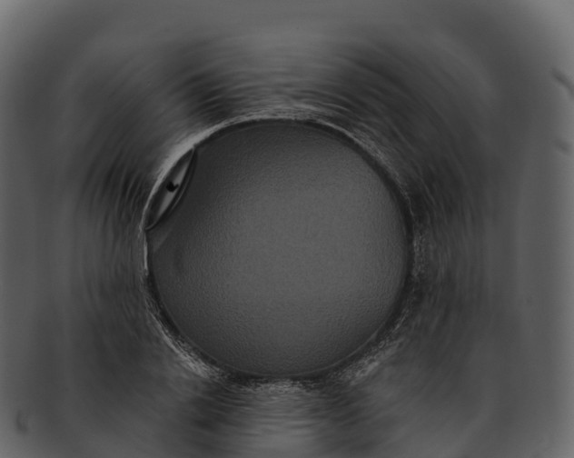 X0000092320838200710051255