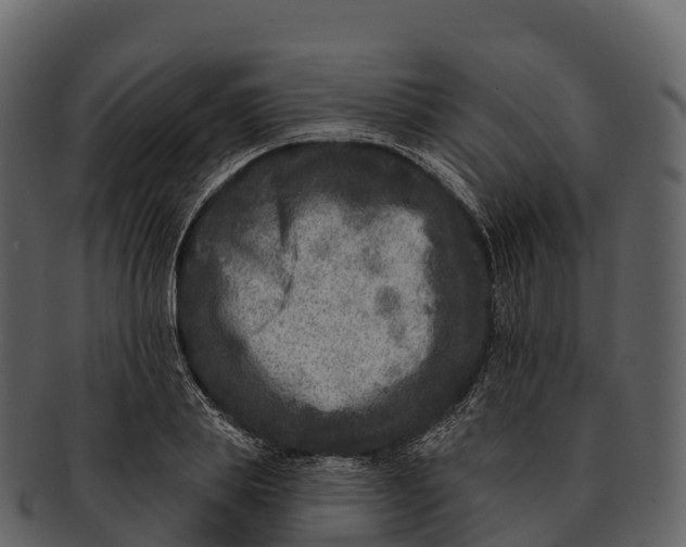 X0000092320839200710051255
