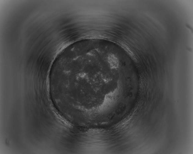 X0000092320840200710051255