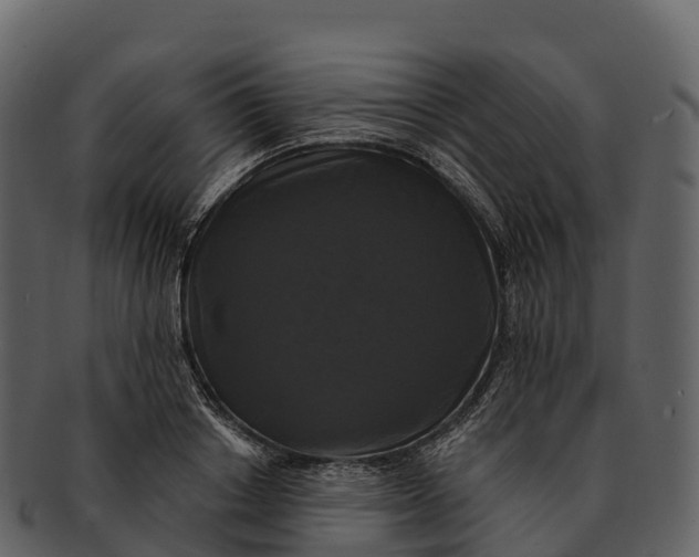 X0000092320842200710051255