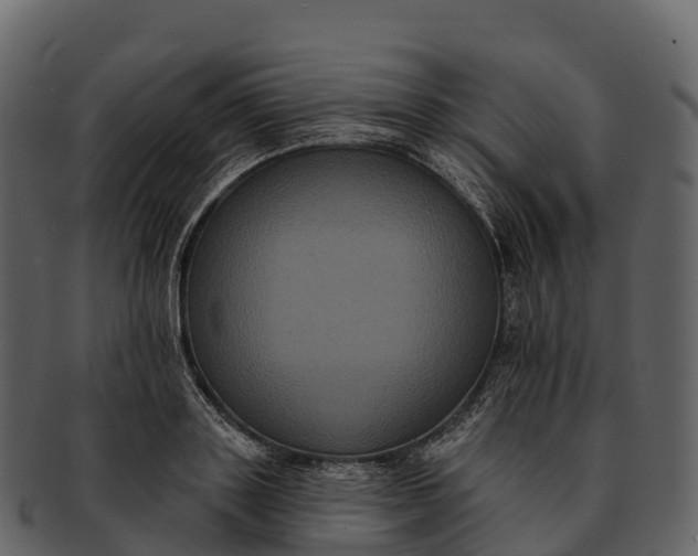X0000092320843200710051255