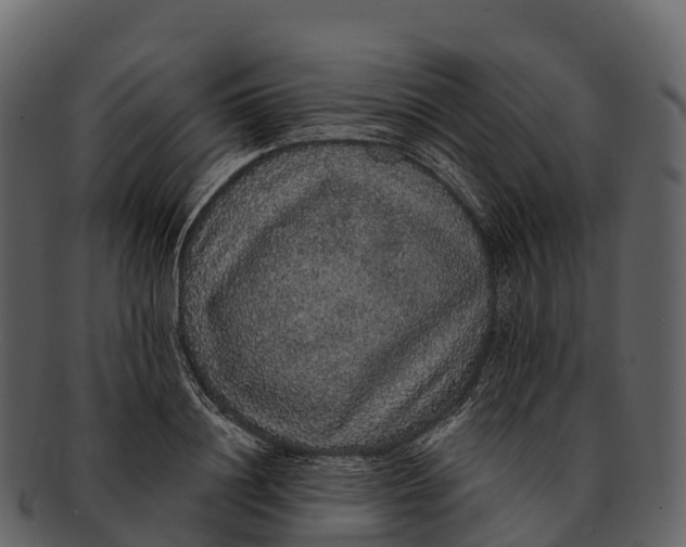 X0000092320844200710051255