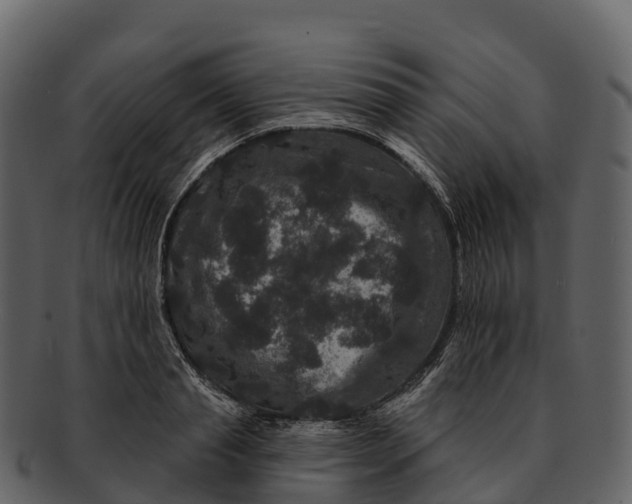 X0000092320845200710051255