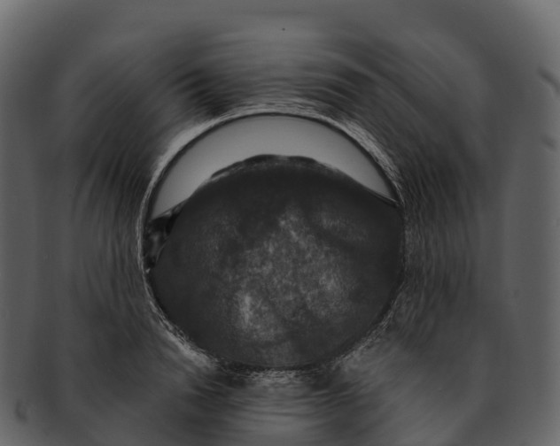 X0000092320846200710051255
