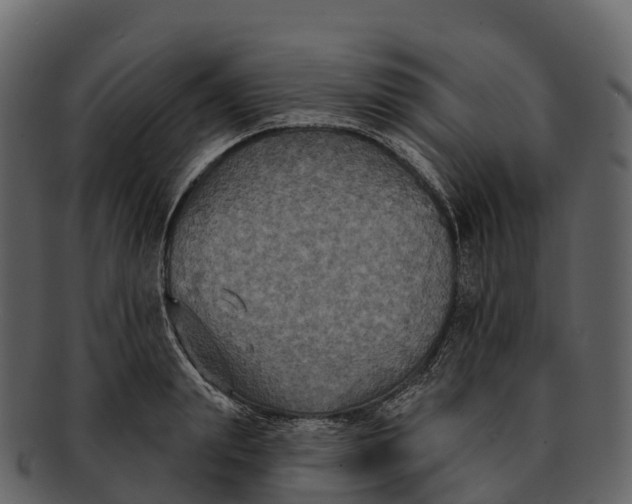 X0000092320847200710051255