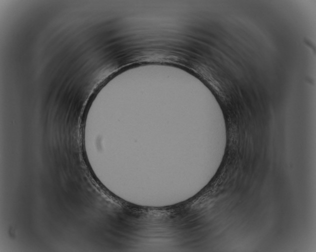 X0000092320848200710051255