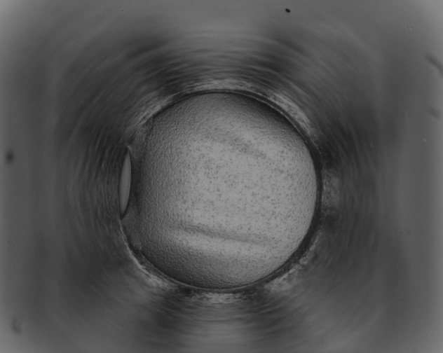 X0000092320849200710051255