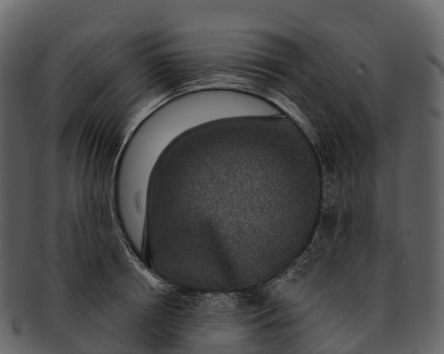 X0000092320850200710051255