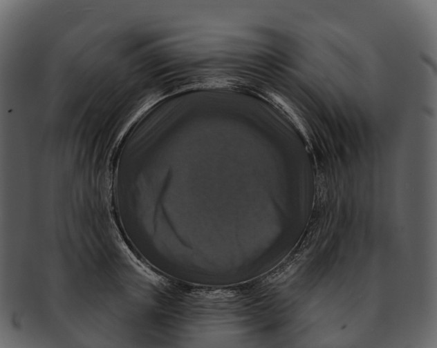 X0000092320851200710051255
