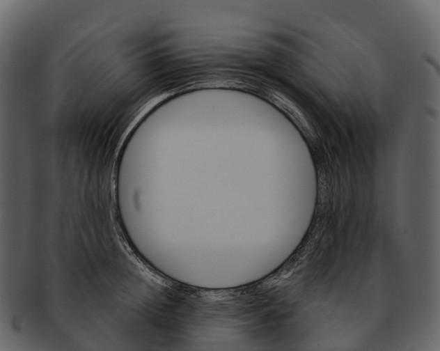 X0000092320852200710051255