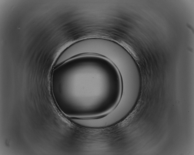 X0000092320854200710051255