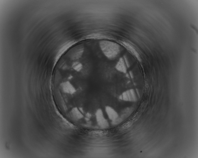 X0000092320855200710051255