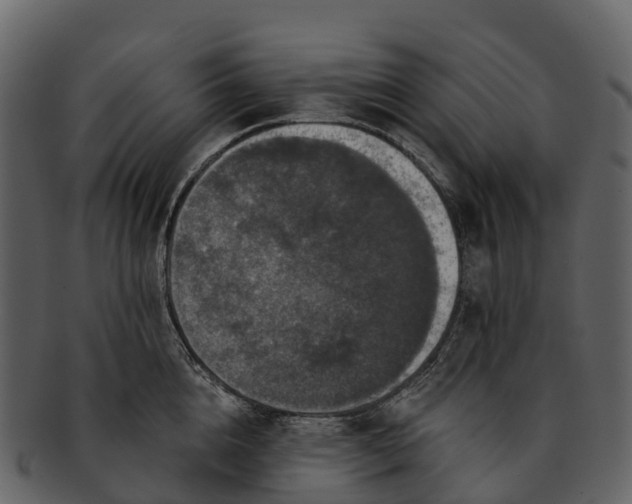 X0000092320856200710051255