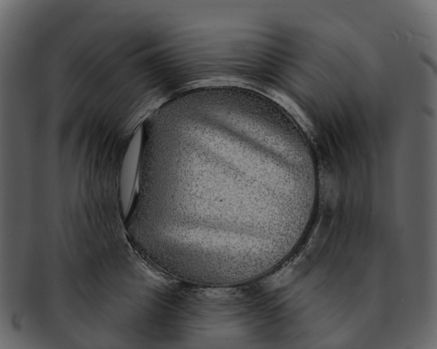 X0000092320857200710051255