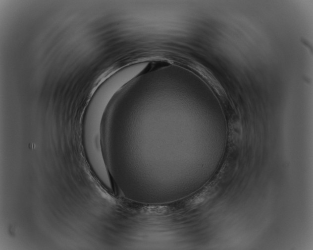X0000092320858200710051255