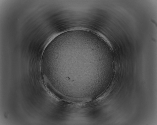X0000092320860200710051255