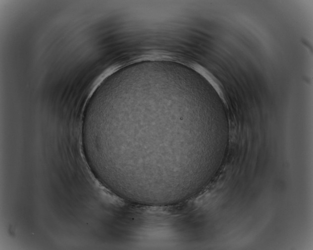 X0000092320861200710051255