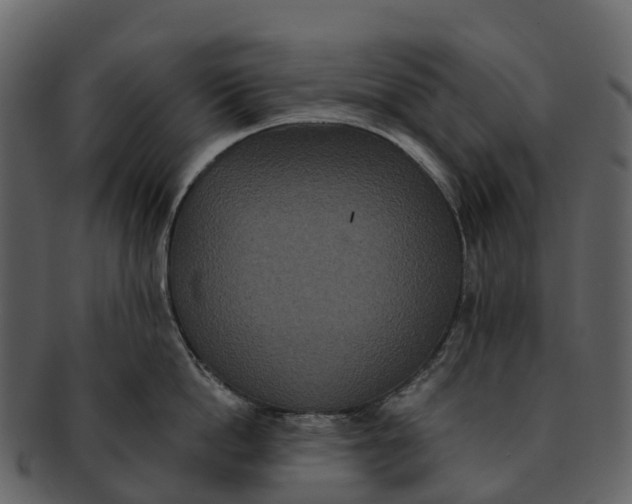 X0000092320862200710051255