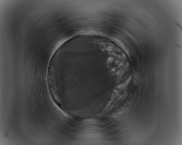 X0000092320863200710051255