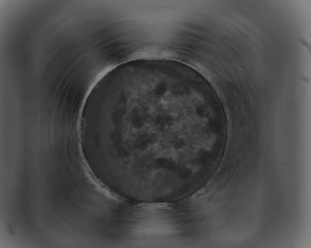 X0000092320864200710051255