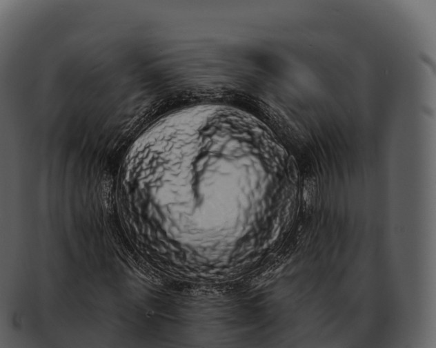 X0000092320867200710051255