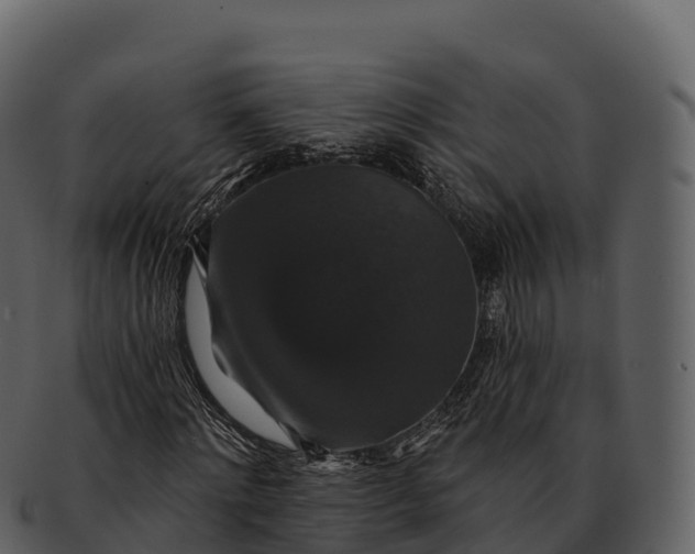 X0000092320868200710051255