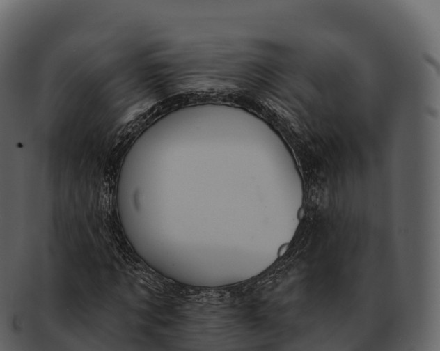 X0000092320869200710051255